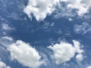 IMG_1072.jpg